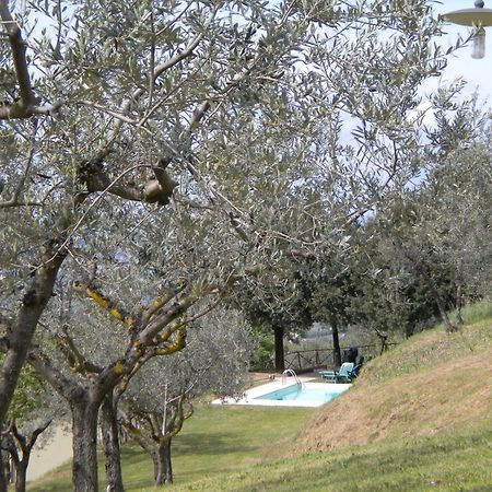 Il Poggio Delle Ginestre Guest House Torgiano Luaran gambar
