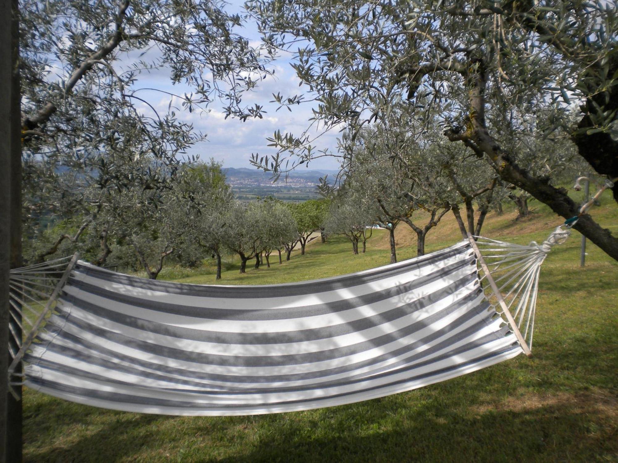 Il Poggio Delle Ginestre Guest House Torgiano Luaran gambar