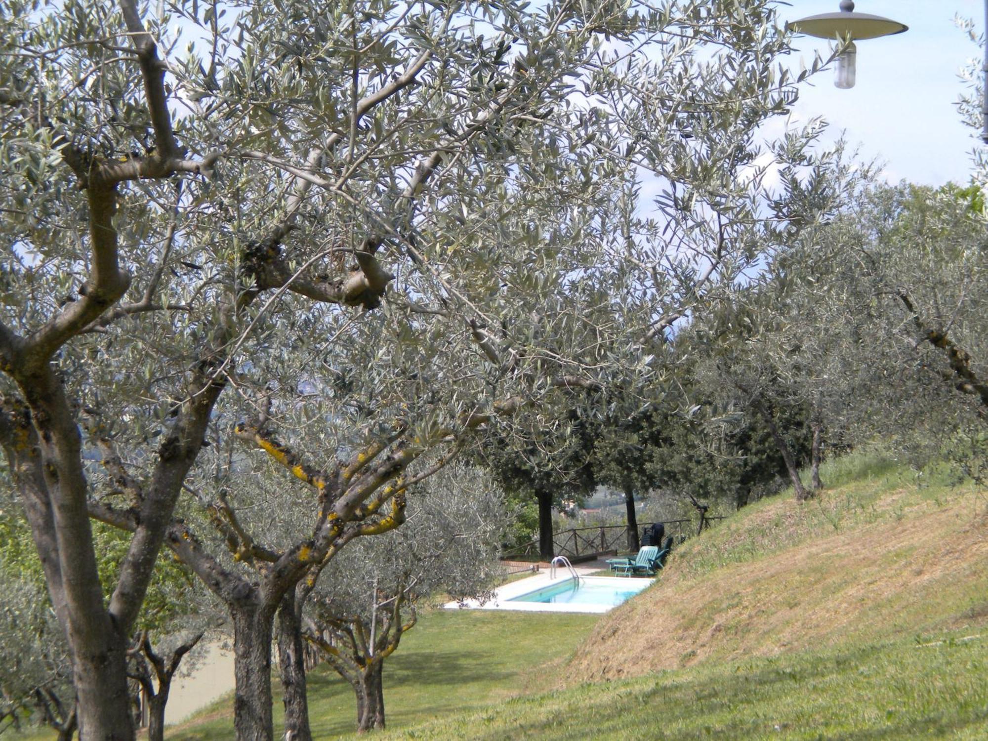 Il Poggio Delle Ginestre Guest House Torgiano Luaran gambar