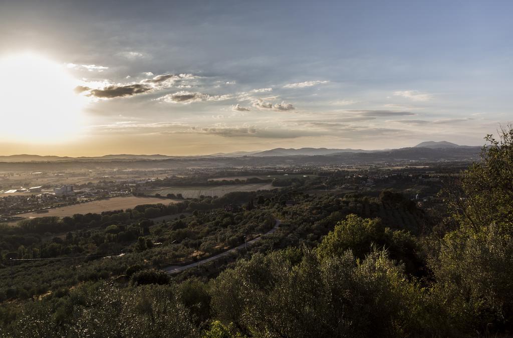 Il Poggio Delle Ginestre Guest House Torgiano Luaran gambar